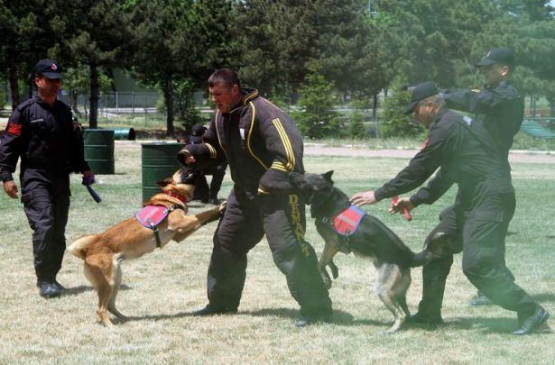 <p>Her eğitim safhası sonunda köpekler test heyetleri tarafından testlere tabi tutuluyor ve testleri başarı ile geçen köpekler bir sonraki eğitim safhasına dahil ediliyor. </p>
