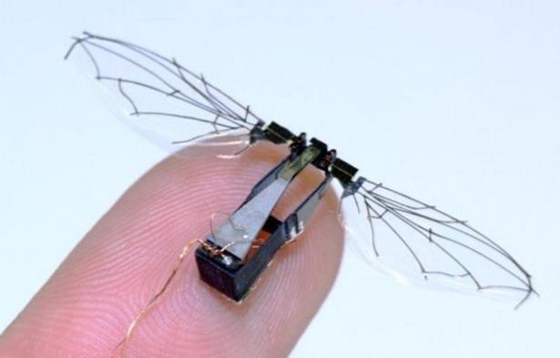 <div><strong>RoboBee</strong></div>

<div>"Harvard Robotics Laboratory"nin ürettiği, 80 miligram ağırlığa ve 3 cm kanat genişliğine sahip olan bu robot askeri, çevresel izleme, arama ve kurtarma operasyonlarında kullanılabilir.</div>
