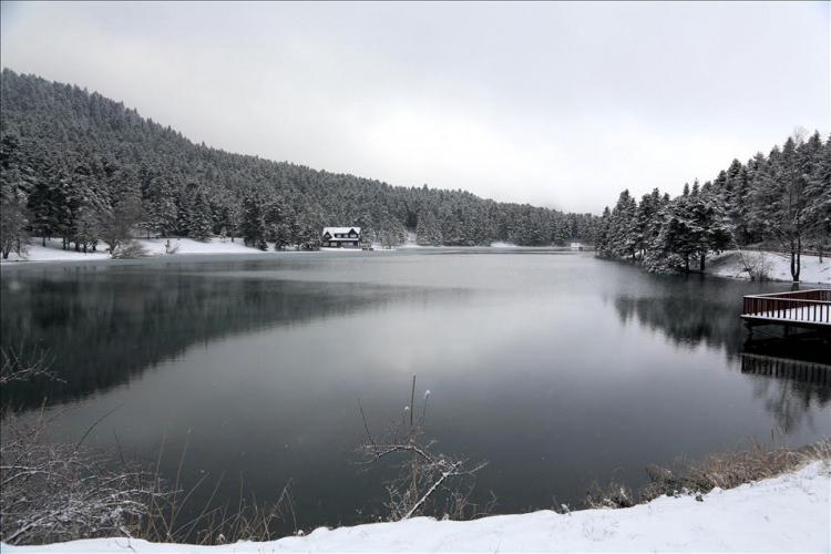<p>Bolu</p>
<p>Nüfusu: 299 896 <br />
Toplam otomobil sayısı: 54 506<br />
Kaç kişiye bir otomobil düşüyor: 5,5</p>