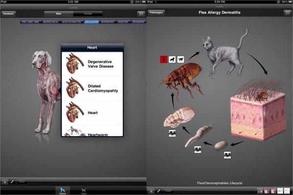 <p><strong>11- DIA - Diagnostic Imaging Atlas, Small Animal</strong><br />
Veterinerlere özel yardım uygulaması. 399.99 dolar.</p>

