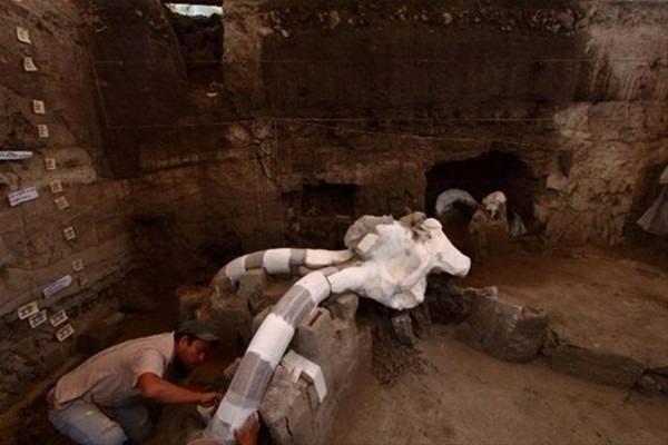 <p>Antropoloji ve Tarih Ulusal Enstitüsü'nde görevli arkeolog Luis Cordoba, başkent Meksiko yakınlarında 50'den fazla mamut kalıntısının bulunduğunu söyledi.</p>

<p> </p>
