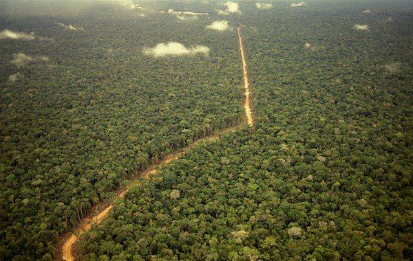 <p>Güney Amerika'aki meşhur Transamazonica (BR230) yani Trans Amazon Yolu dünyanın en korkunç yolları arasında kabul ediliyor. </p>
