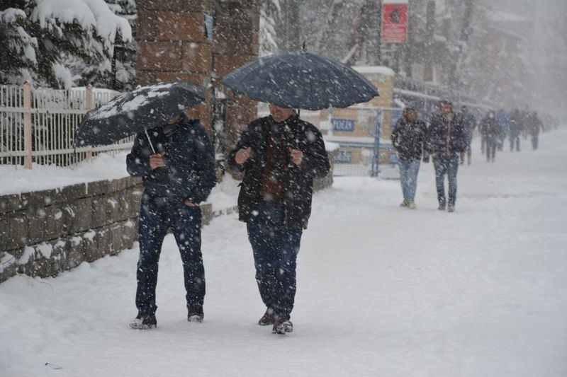 <p>BİTLİS</p>
