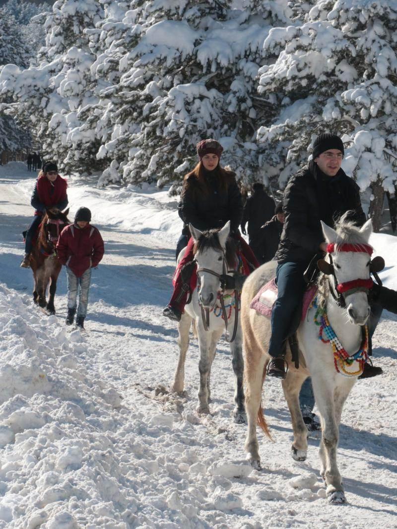 <p>Gölcük, Abant, Yedigöller ve Kartalkaya gibi turistik mekanlarıyla bilinen 285 bin nüfuslu Bolu, geçen yıl 1 milyon 130 bin yerli ve yabancı tatilciyi konuk etti.</p>

<p> </p>
