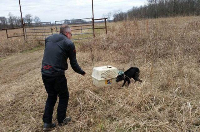 <div>Evden köpek maması getirerek açlıktan ölmek üzere olan yavruyu doyurdular.</div>

<div> </div>
