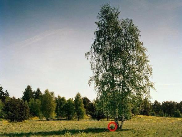 <p>Tam da orada!</p>

<p> </p>
