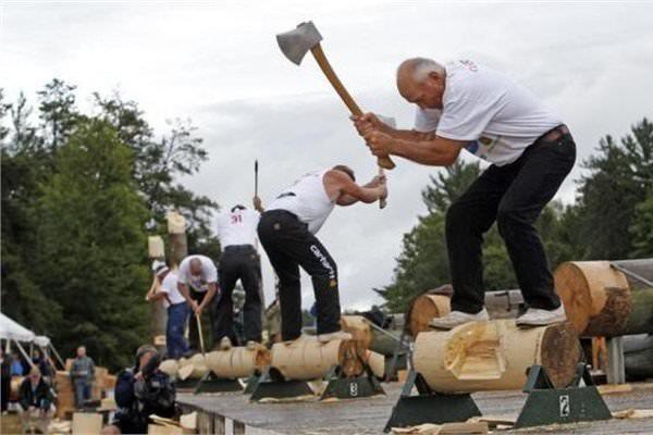 <p><strong>Oduncu</strong><br />
2022'ye kadar oduncu sayısında yüzde 9 azalma olacak.</p>