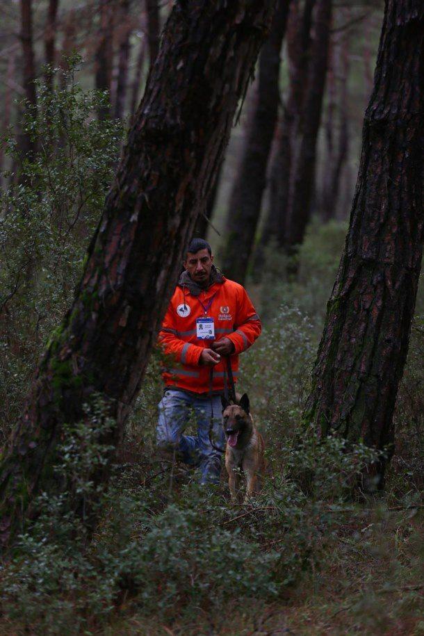 <p>Sabacky, "Arama kurtarma köpeğinde aradığımız en önemli özellik, köpeğin kazazedeyi bulduğunda çok mutlu olması. Yani işini severek yapması. Kondisyonun çok iyi olması lazım. İşi ağır, sağlıklı olması çok önemli. Bir de düzenli çalışması gerekir" diye konuştu.</p>
