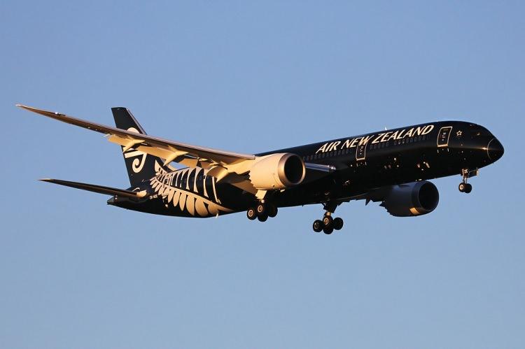 <p>17. AIR NEW ZEALAND / YENİ ZELANDA</p>
