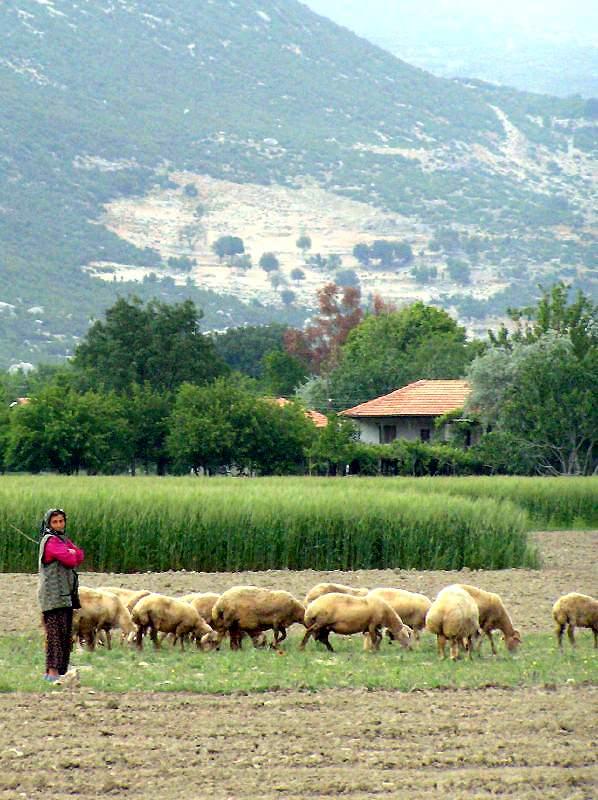 <p>Bezirgan Köyü - Kaş</p>

<p> </p>
