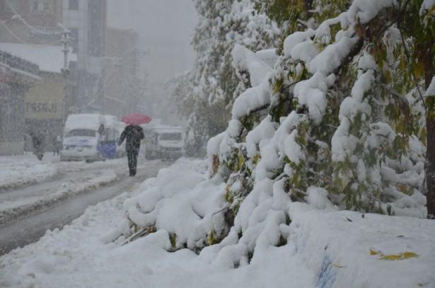 <p>HAKKARİ</p>
