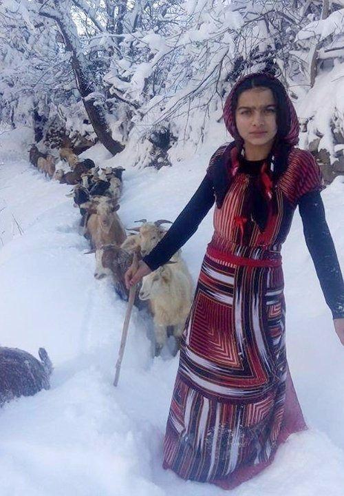 <p>Yeni doğan yavruyu ise<strong> "Tomi" </strong>isimli çoban köpeğinin sırtındaki çantaya koyan<strong> Bilgin</strong>, bu sırada çekilen fotoğraflarının<strong> sosyal medyada</strong> yayınlanması ile Türkiye’de <strong>gündem</strong> olmuştu. </p>
