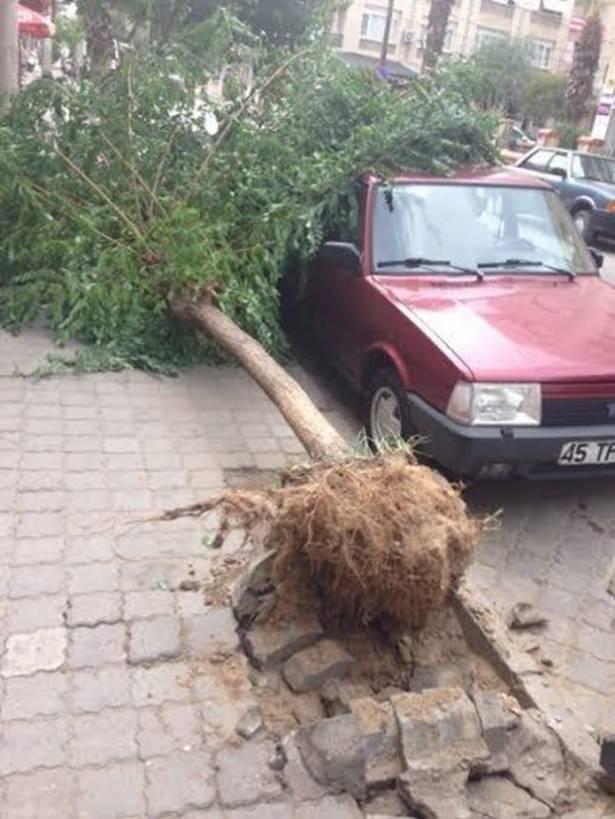 <p>Manisa</p>
