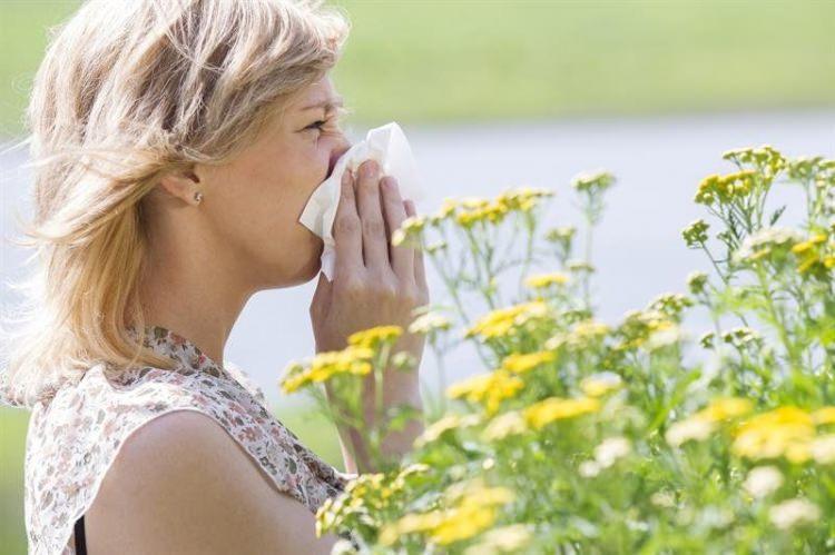 <p>Göğüs Hastalıkları Uzmanı Prof. Dr. Ferah Ece,<strong> alerjisi olan kişiler için önemli tavsiyelerde bulundu.</strong></p>
