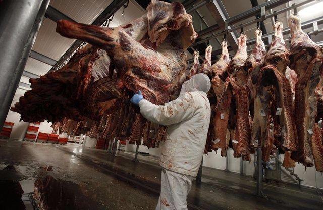 <p>Polonya: 76.9 kg</p>

<p> </p>
