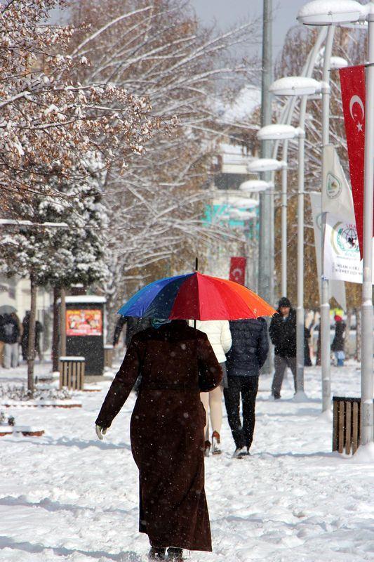 <p>BOLU</p>
