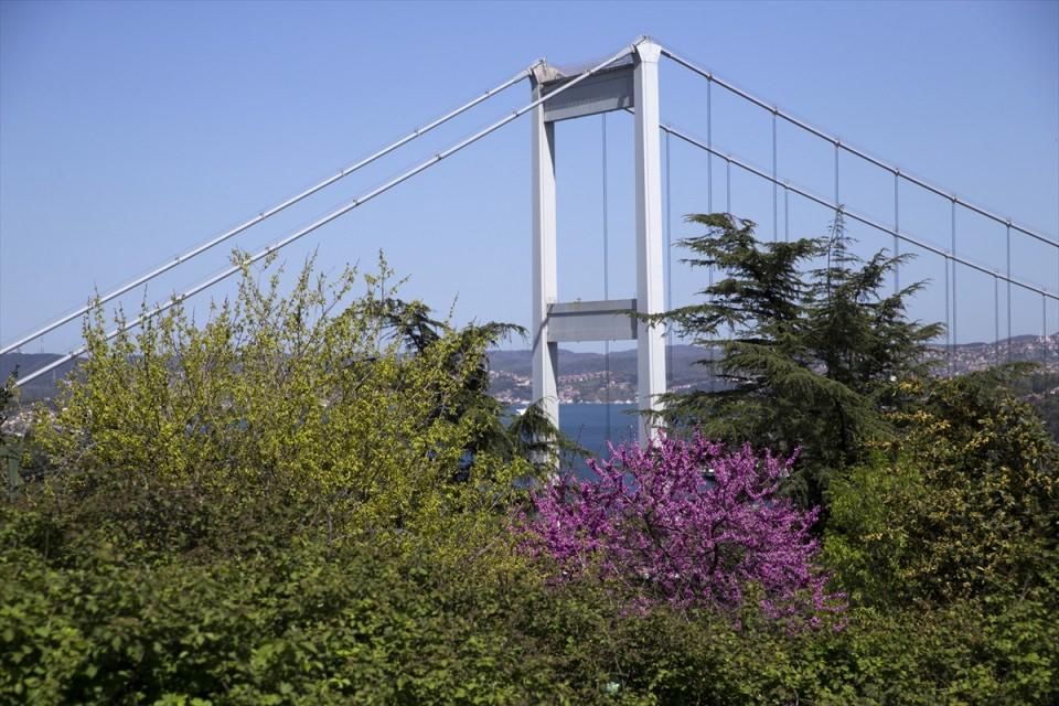 <p>Her yıl nisan ayında çiçek açan erguvan ağaçları, henüz yaprakları açılmadan çiçek vermesiyle farklı bir görüntü oluşturdu. Kentin sokaklarını süsleyen erguvanlar, vatandaşlar tarafından da ilgi görüyor.</p>
<p> </p>