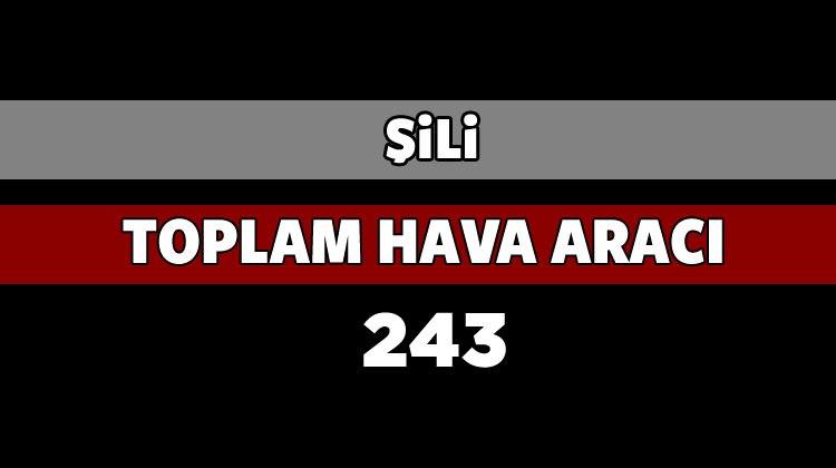 <p>ŞİLİ</p>
