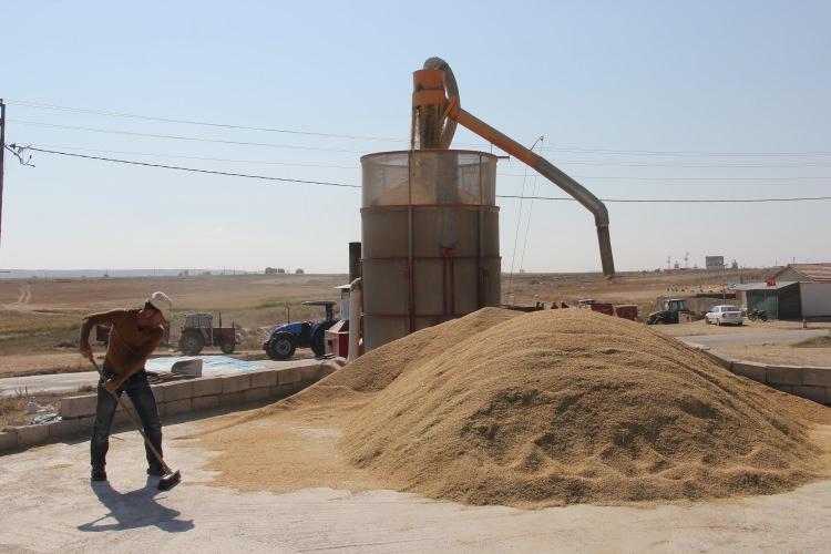 <p>Balcılar, her yıl nisan ayının başlarında çeltik tarımına başladıklarını bildirerek, "Topraklarımızı en iyi şekilde hazırlayıp ekimi yaptıktan sonra tavalara suyu veririz. Çeltik suyu seven bir üründür. Bu nedenle çeltik alanlarından suyu eksik etmez bunu sık sık kontrol ederiz." diye konuştu.</p>
