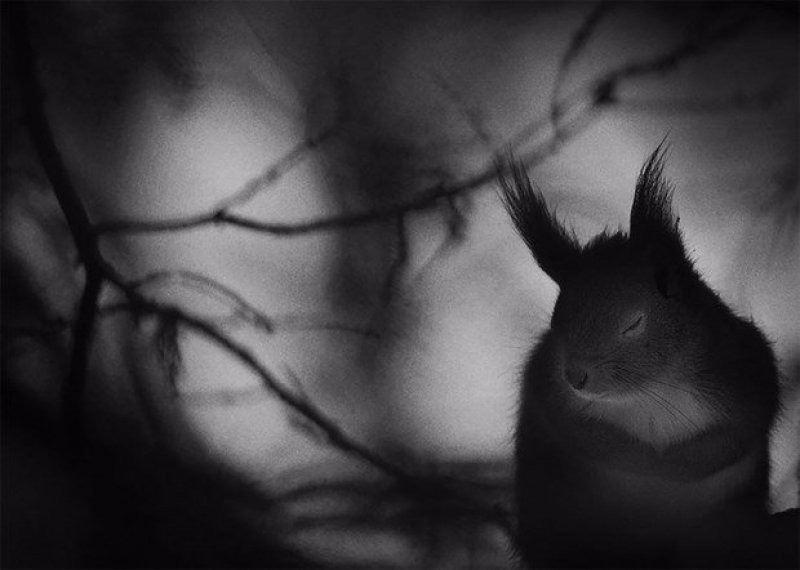 <p>İSVEÇ Fotoğrafçı: Mats Andersson</p>