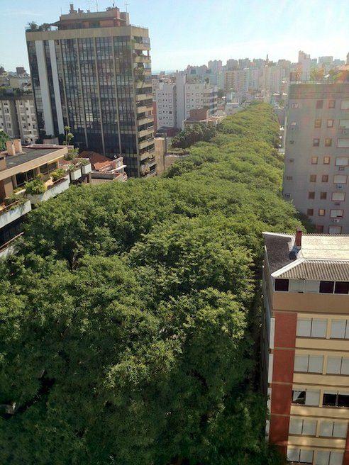 <p>Brezilya'da Porto Allegre şehrinde bulunan Rua Goncalo de Carvalho sokak güzelliğini yağmur ormanlarını andıran sık ağaçlara borçlu.</p>

<p> </p>
