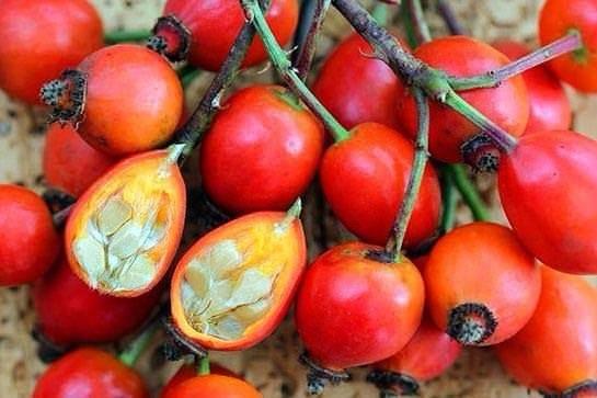 <p>Günde iki fincan kuşburnu çayını ve bir yemek kaşığı şekersiz kuşburnu marmeladını beslenmenize ekleyebilirsiniz.</p>
