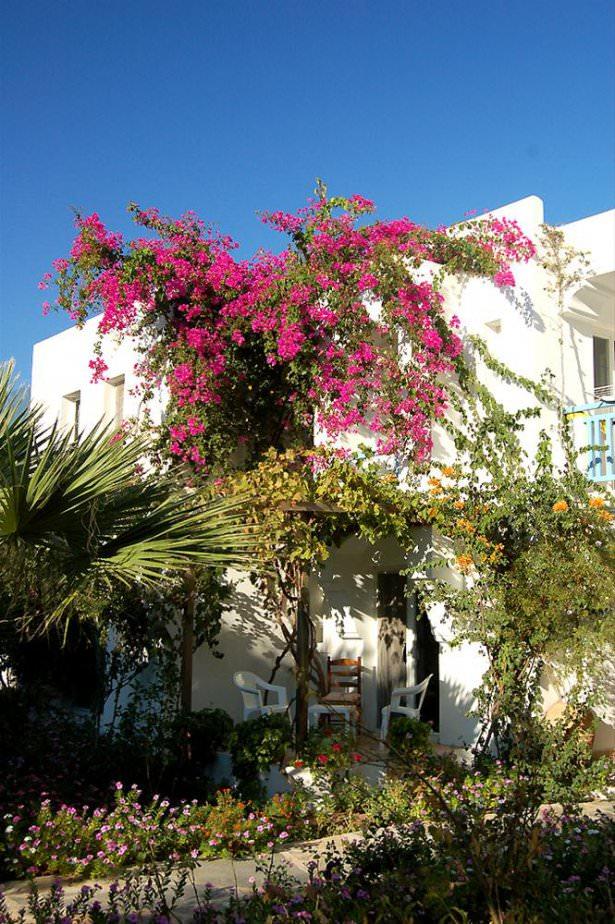 <p>Bodrum Ortakent</p>

<p> </p>
