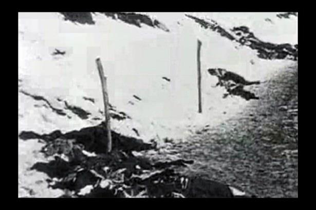 <p><strong>29 Aralık:</strong>10. Kolordu Sarıkamış bölgesine geldi. Rus kuvvetleri, 9. ve 10. Kolordu'nun taarruzlarıyla oldukça sıkıntılı saatler yaşadı. Türkler, Sarıkamış İstasyonu ve kuzeyiyle köprüye kadar girdi. Ruslar, karşı taarruzlarla cephesini düzeltti.<br />
<br />
<br />
<strong><a href="http://video.haber7.com/video-galeri/25117-rus-arsivlerinden-gercek-sarikamis-goruntuleri" target="_blank">RUS ARŞİVİNDEN AĞLATAN SARIKAMIŞ GÖRÜNTÜLERİ - TIKLA - İZLE</a></strong></p>