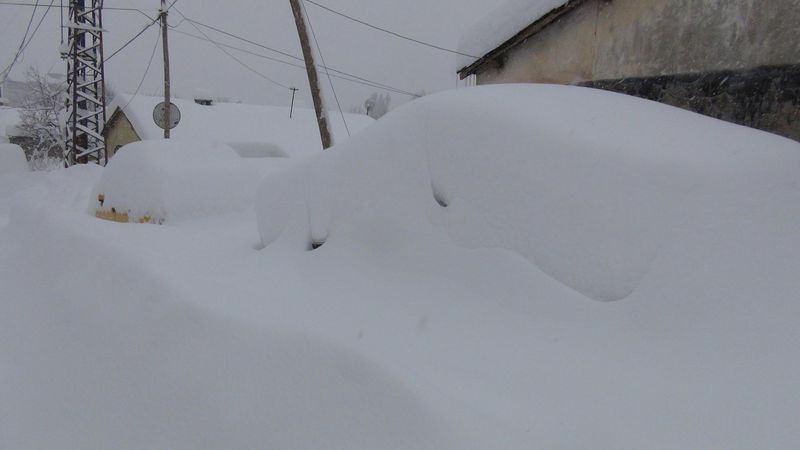 <p>BİTLİS</p>
