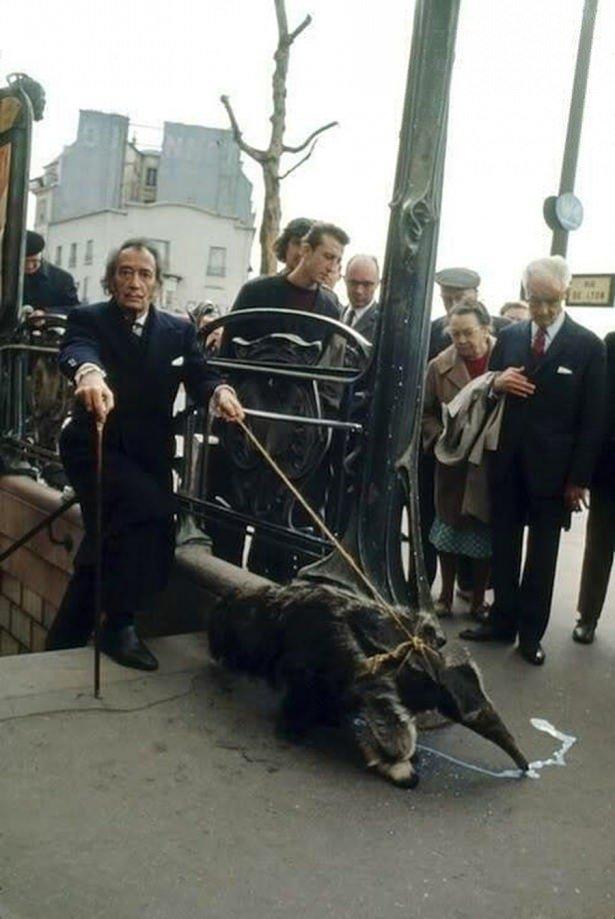 <p>Salvador Dalí, beslediği karıncayiyen ile metrodan çıkıyor, Paris, 1969</p>
