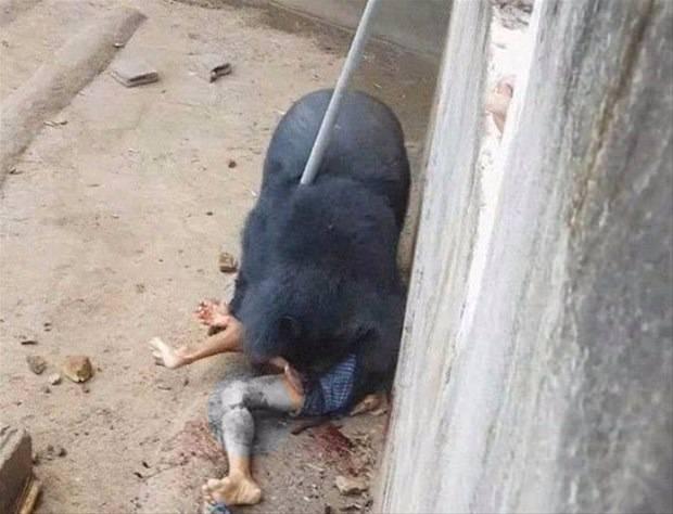 <p>Saniye saniye video kaydına alınan olayda tapınak görevlilerinin olaya müdahale etmesi uzun zaman aldı. Kafesinin içinde adamı parçalamaya başlayan ayıya, dakikalar sonra bir görevli müdahale etti ve bilincini kaybetmeye başlayan adamı vahşi hayvanın pençelerinden kurtardı.</p>
<ul>
</ul>