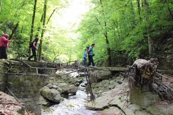 <p>Ereğli ilçe merkezine yaklaşık 35 kilometre mesafede bulunan 25 metre uzunluğundaki şelale görenleri kendisine hayran bırakıyor.</p>

<p> </p>
