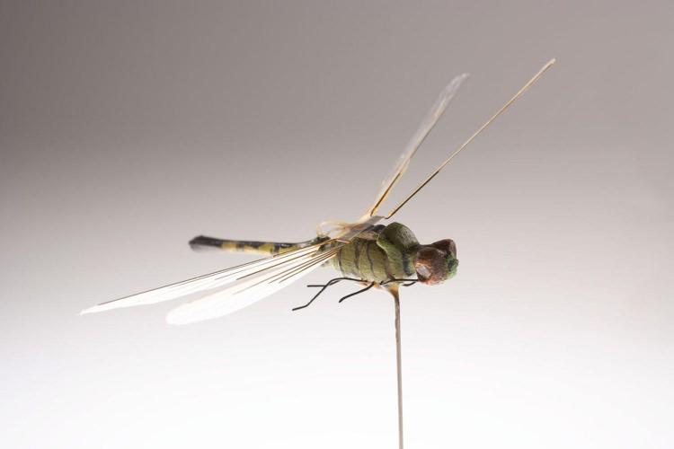 <p>Nano İHA'lar halen dünyanın gelişmiş bazı orduları tarafından kullanılıyor.Söz konusu sistemler, özel kuvvetler ve istihbarat örgütleri tarafından yüksek değerlikli hedeflerin yakın gözetleme ve keşfi amacıyla tercih ediliyor.</p>
<p> </p>