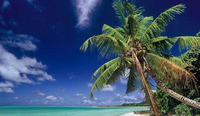 <p>Karasal Alan km²<br />
Wallis ve Futuna (Fransa)<br />
142</p>