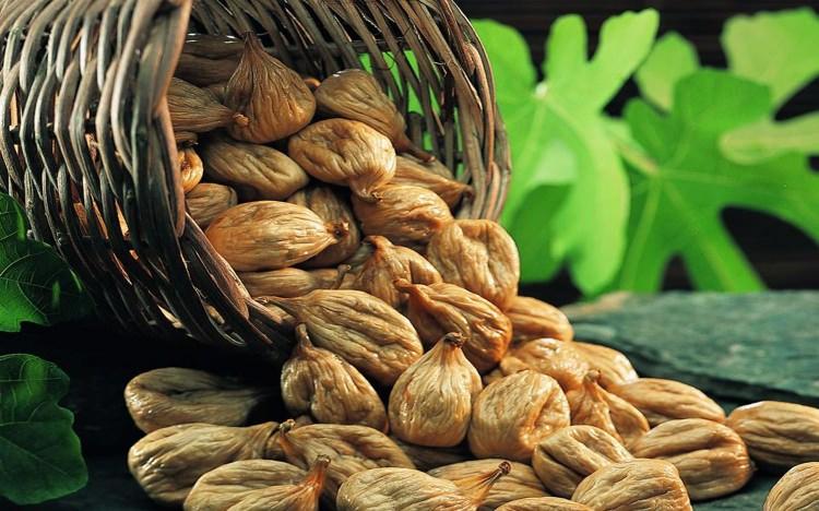 <p>İncir (Ficus carica): İncir, besleyici gıda olup hazmı kolaydır. Meyvelerin çoğundan daha gıdalıdır.</p>

<p> </p>
