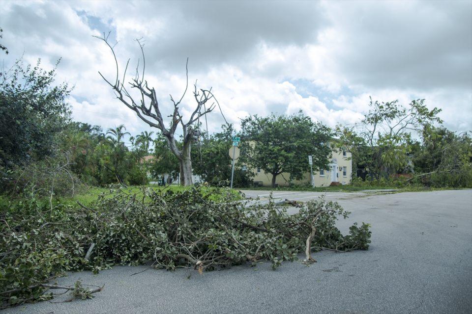 <p>Geçen hafta Karayipler'i, ardından ABD'nin Florida eyaletini vuran Irma kasırgasının etkileri hissedilmeye devam ediyor. </p>

<p> </p>
