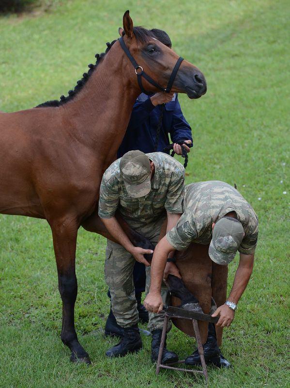 <div><strong>ÇOCUK GİBİ BAKILIYORLAR</strong></div>
<div> </div>
<div>Kapalı manejde (at eğitimi ve bu eğitimin yapıldığı yer) uzman eğiticilerinin gözetiminde çılbır, kulvar ve jimnastik eğitimlerine tabi tutulan atlara, açık ve kapalı alanda ulusal ve uluslararası başarılara sahip eğiticiler tarafından binicili engel atlama eğitimleri veriliyor. </div>