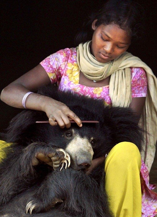 <p>Sloth Bear (Tembel ayı) cinsinden bulunan yavru ayı adını yavaş hareket etme özelliğinden alıyor.</p>

<p> </p>
