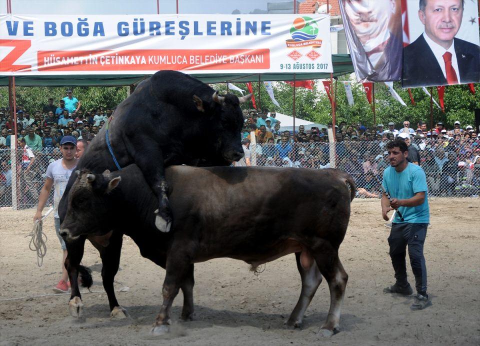 <p>Güreş alanında vatandaşlara hitap eden Kumluca Belediye Başkanı Hüsamettin Çetinkaya, Karagöl Yaylası'nın ilçenin yaylası olduğunu ve özellikle yaz aylarında vatandaşlar tarafından yoğun bir şekilde kullanıldığını söyledi.</p>
<p> </p>