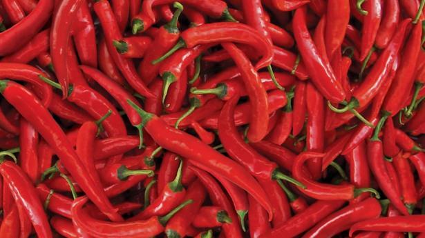 <p>C vitamini kolajen seviyesini ve cildin elastikiyetini korumakta oldukça etkili bir vitamindir. Tüm bunlar yaşlanmanın da belirtileri olduğundan, kırmızı biber bu belirtileri minimuma indirgememizi sağlıyor.</p>