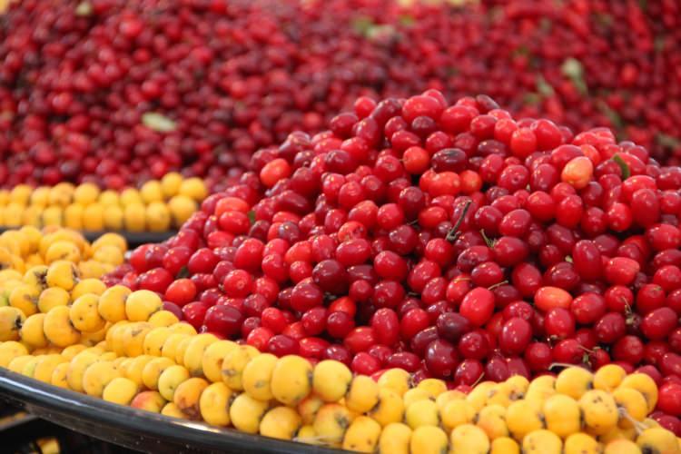 <p>Kızılcık, marmelat, taze meyve, kuru meyve ve şerbet gibi bir çok alanda kullanılır. Kızılcık meyvesinin 100 gramında: 308 kolari, 82 gr karbonhidrat, toplam yağ oranı 1,37 gr, protein 0.7 gr diyet lifi olarak da 5.7’dir. </p>