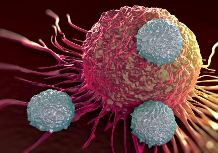 <p>kanserin yayılmasına ilişkin henüz bir bulgu olmadığını belirterek, </p>