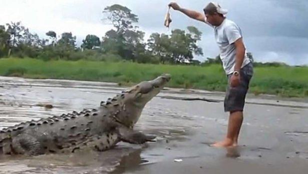 <p>Turistleri eğlendirmek isteyen bir tur rehberinin nehir kenarında dolaşan vahşi timsahın dikkatini çekmesiyle başlıyor.</p>

<p> </p>

