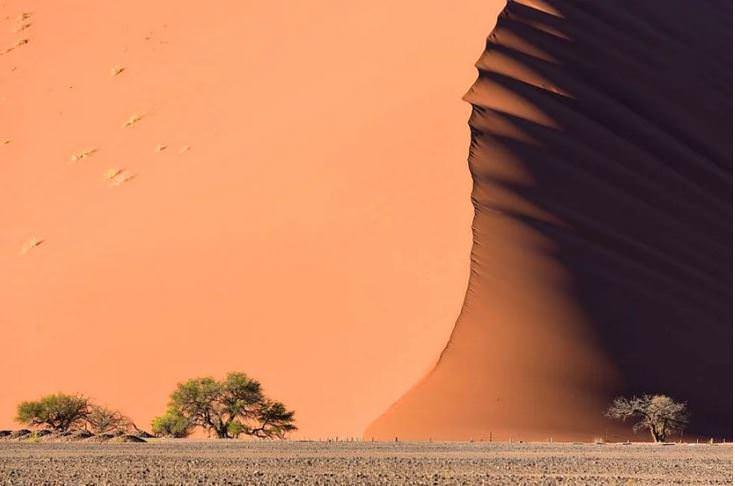 <p>Namib Çölü, Afrika</p>
