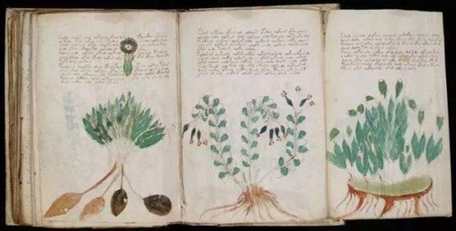 <p>VOYNICH ELYAZMASI<br />
Bilinmeyen bir yazıyla yazılmış, anlamı çözülemeyen gizemli bir kitaptır. 1404 ilâ 1438 yıllarında yazıldığı tahmin edilen kitap, 240 sayfadır ancak tamamının 270 sayfa olduğu düşünülmektedir.</p>

<p> </p>
