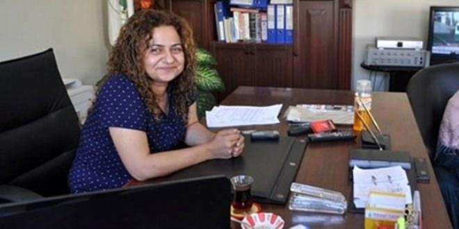 <p>Derik Belediye Başkanı<br />
<br />
<strong>SABAHAT ÇETİNKAYA</strong></p>