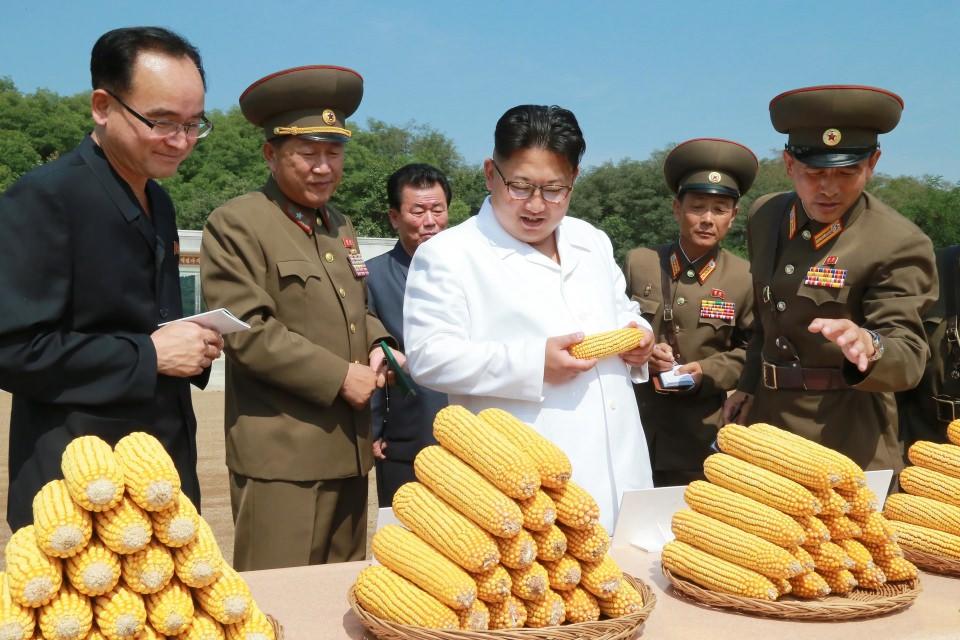 <p>Beraberinde Kuzey Kore ordusunun komutanlarıyla çiftliği gezen Kim Jong-un'un ziyaretine ilişkin fotoğraflar, ülkenin resmi haber ajansı KCNA tarafından çekilip dünyaya servis edildi.</p>
