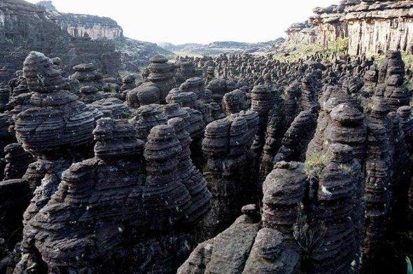 <p>Roraima, Venezuela</p>
