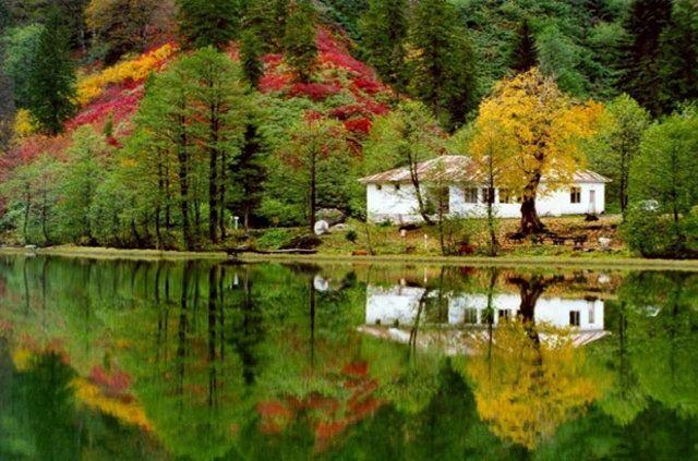 <p>Karagöl </p>

<p>Artvin Borçka</p>
