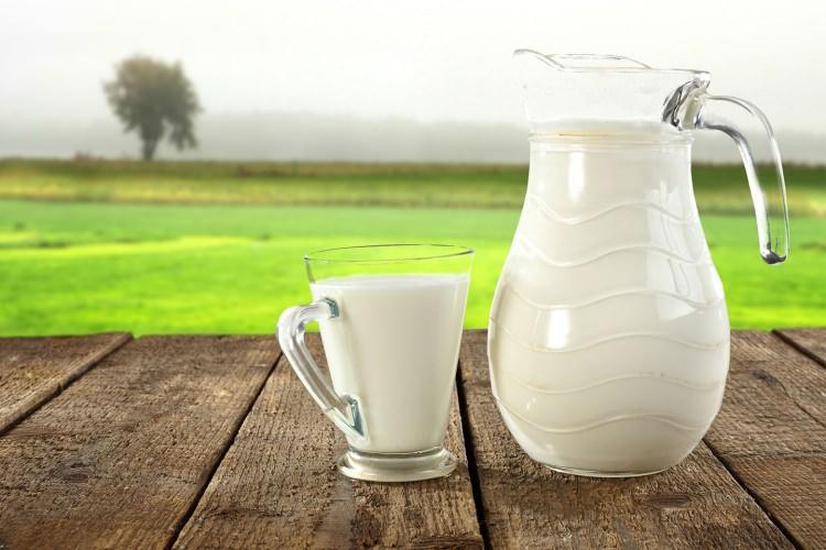 <p><strong>Özellikle çocukların fiziksel ve beyinsel gelişiminde etkili proteini içeren sütü tüketmek için 10 neden şöyle: </strong></p>
